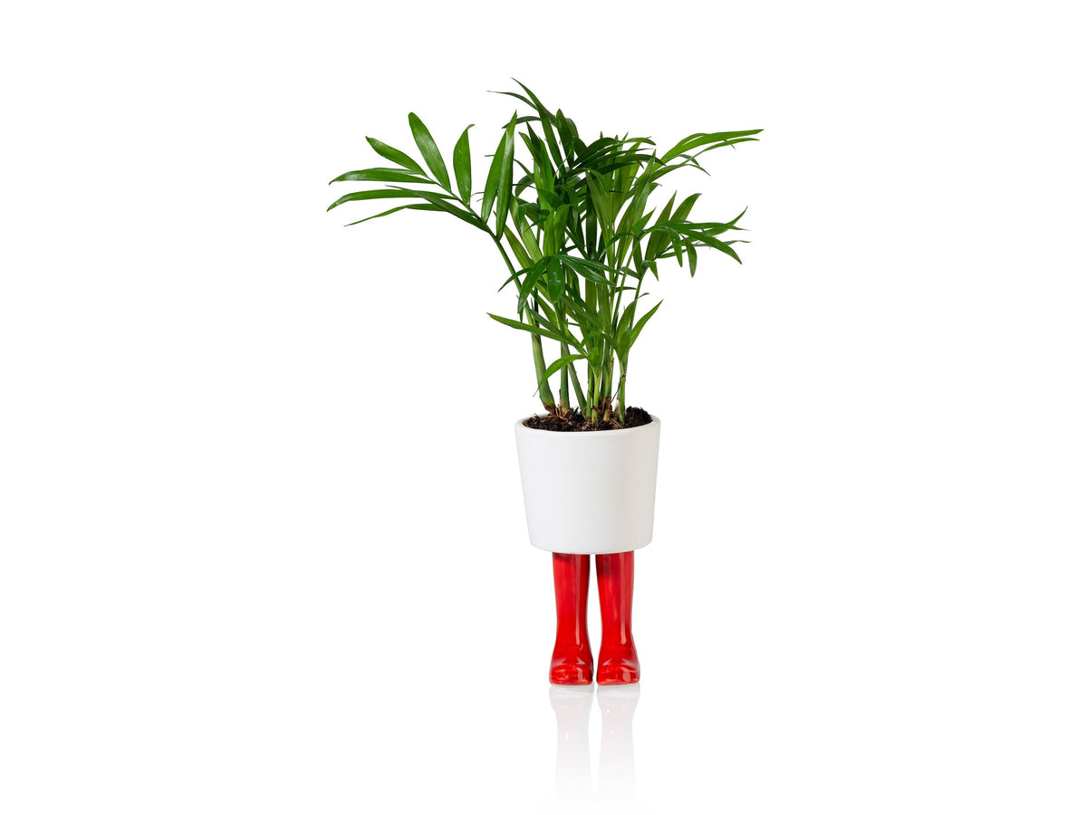 Pot de Fleur Bottes Wellington Rouge – Petit – Bitten