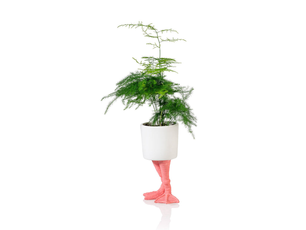 Pot de Fleur Pattes de Flamant Rose – Petit – Bitten