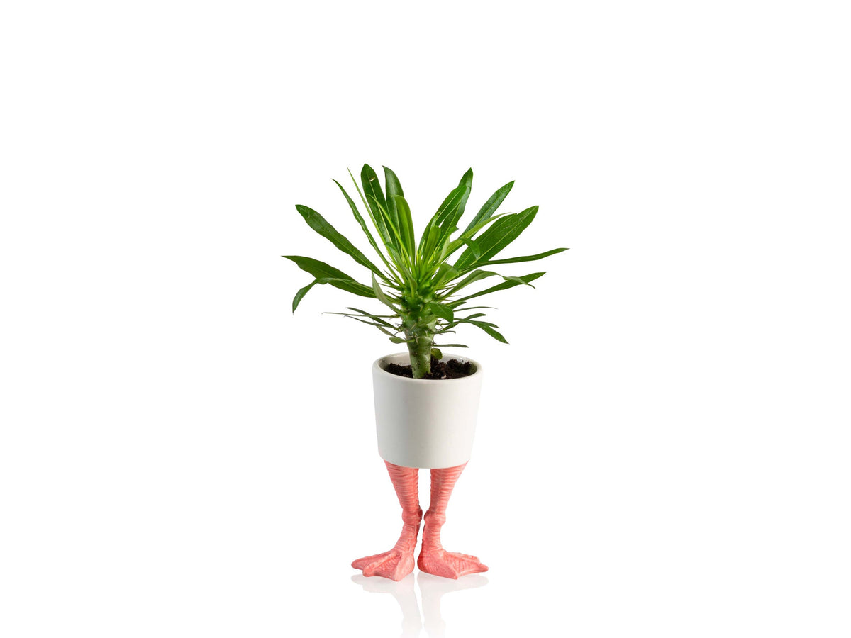 Pot de Fleur Pattes de Flamant Rose – Petit – Bitten