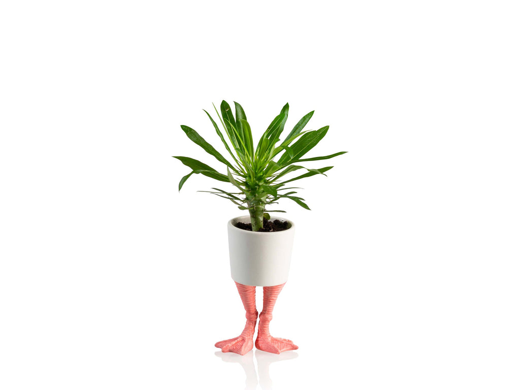 Pot de Fleur Pattes de Flamant Rose – Petit