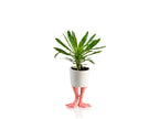 Pot de Fleur Pattes de Flamant Rose – Petit