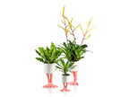 Pot de Fleur Pattes de Flamant Rose – Petit – Bitten