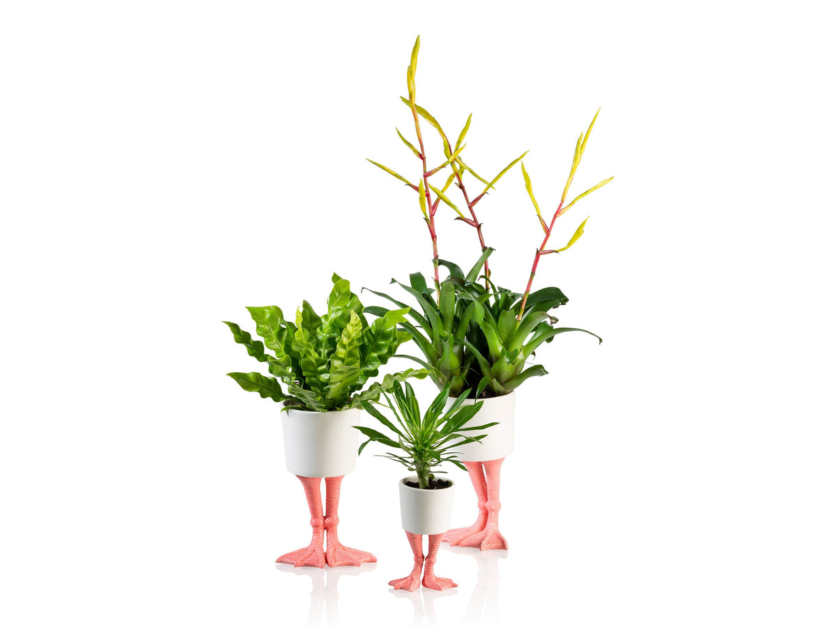 Pot de Fleur Pattes de Flamant Rose – Petit – Bitten