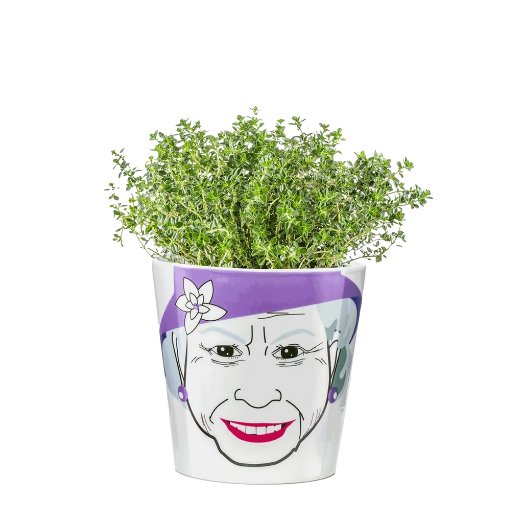 Blumentopf „Queen“.