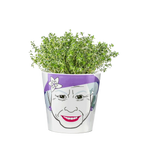 Blumentopf „Queen“.