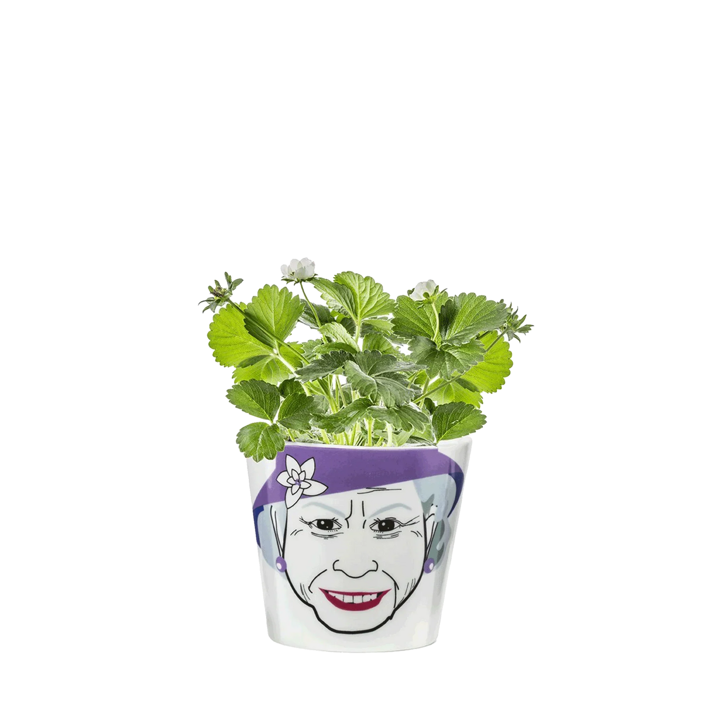 Queen flower pot