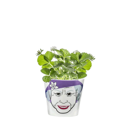 Queen flower pot