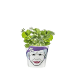 Blumentopf „Queen“.