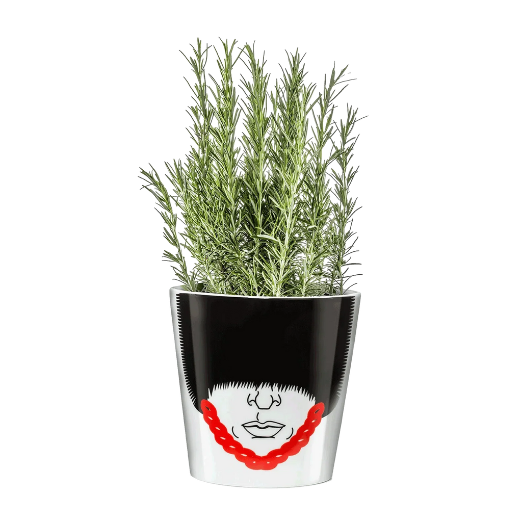 Royal Guard Flower Pot