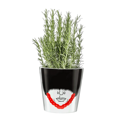 Pot de fleur Garde Royal
