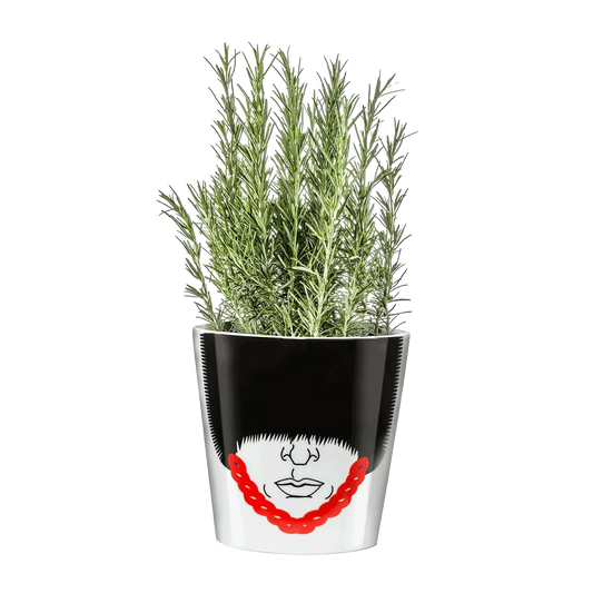 Pot de fleur Garde Royal