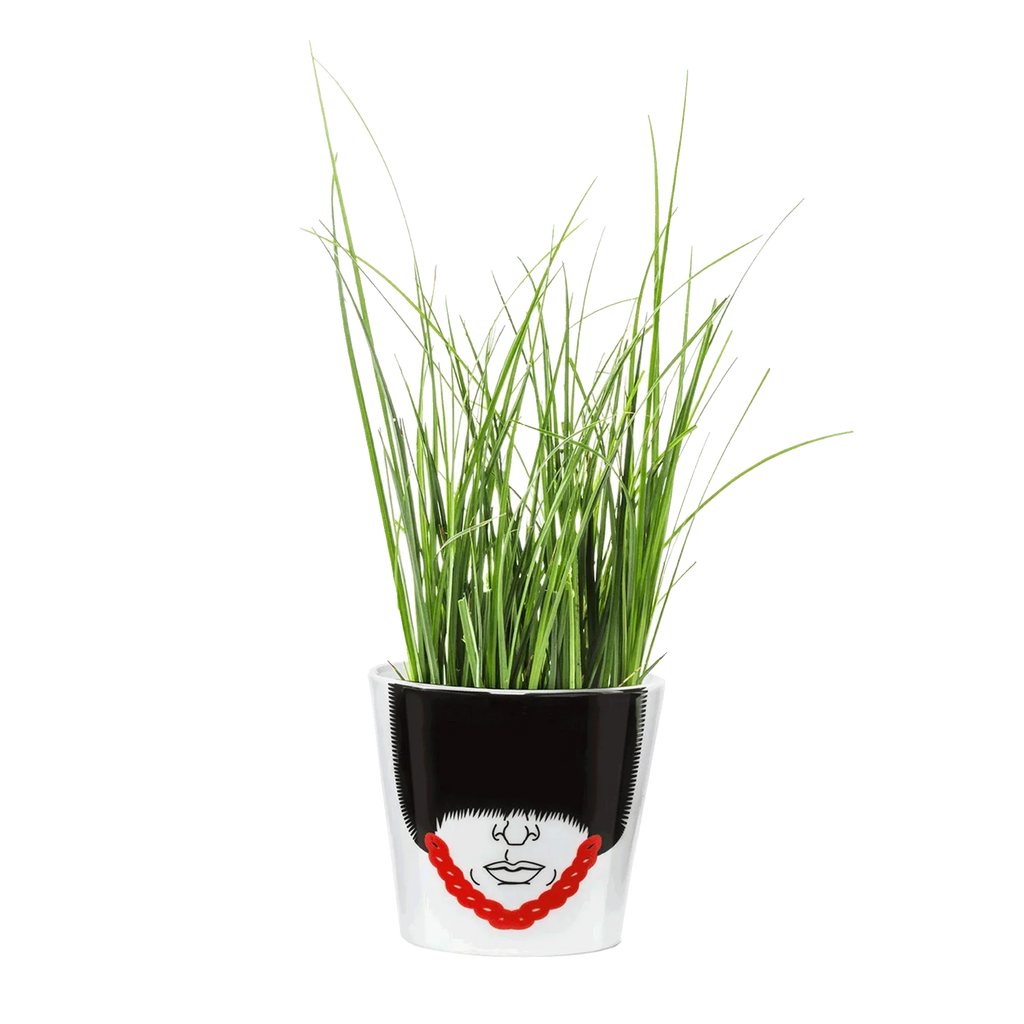 Royal Guard Flower Pot
