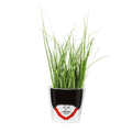 Royal Guard Flower Pot