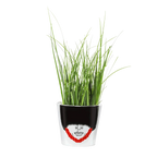 Royal Guard Flower Pot