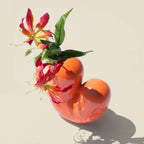 vase sulcus donkey