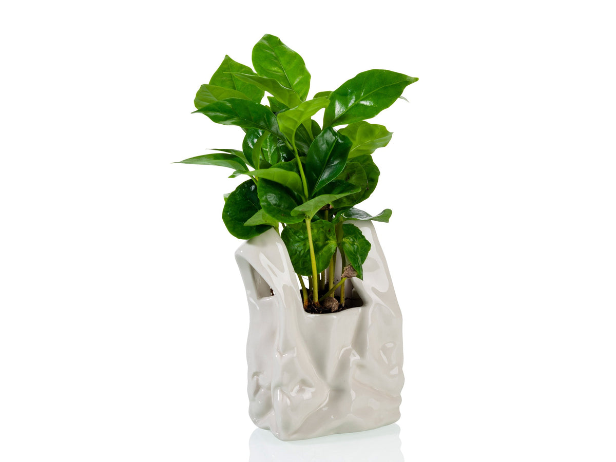 Pot de Fleur « Je ne Suis pas un Sac en Plastique ! » – Petit – Bitten