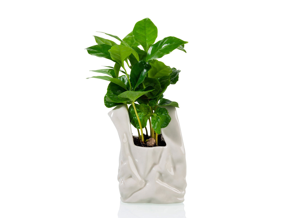 Pot de Fleur « Je ne Suis pas un Sac en Plastique ! » – Petit – Bitten
