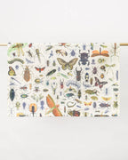 Oggetto regalo di design – Torchon Insectes – produit scientifique Cognitive Surplus EU, vue 2