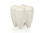 Bocal Sweet Tooth Blanc