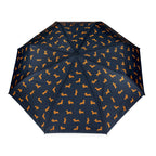Parapluie Teckel