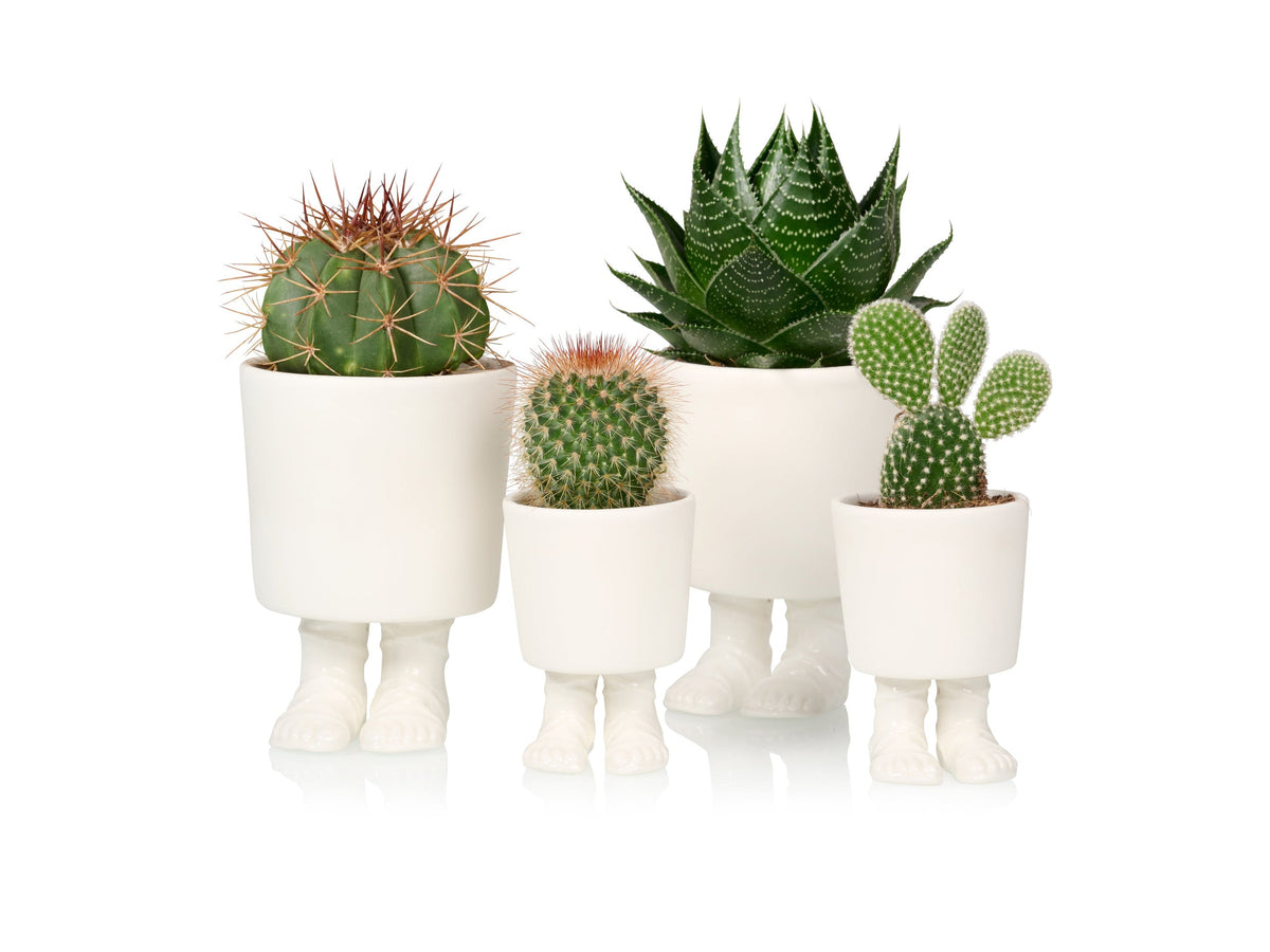 Pot de Fleur Sandale Gladiateur – Grand – Bitten