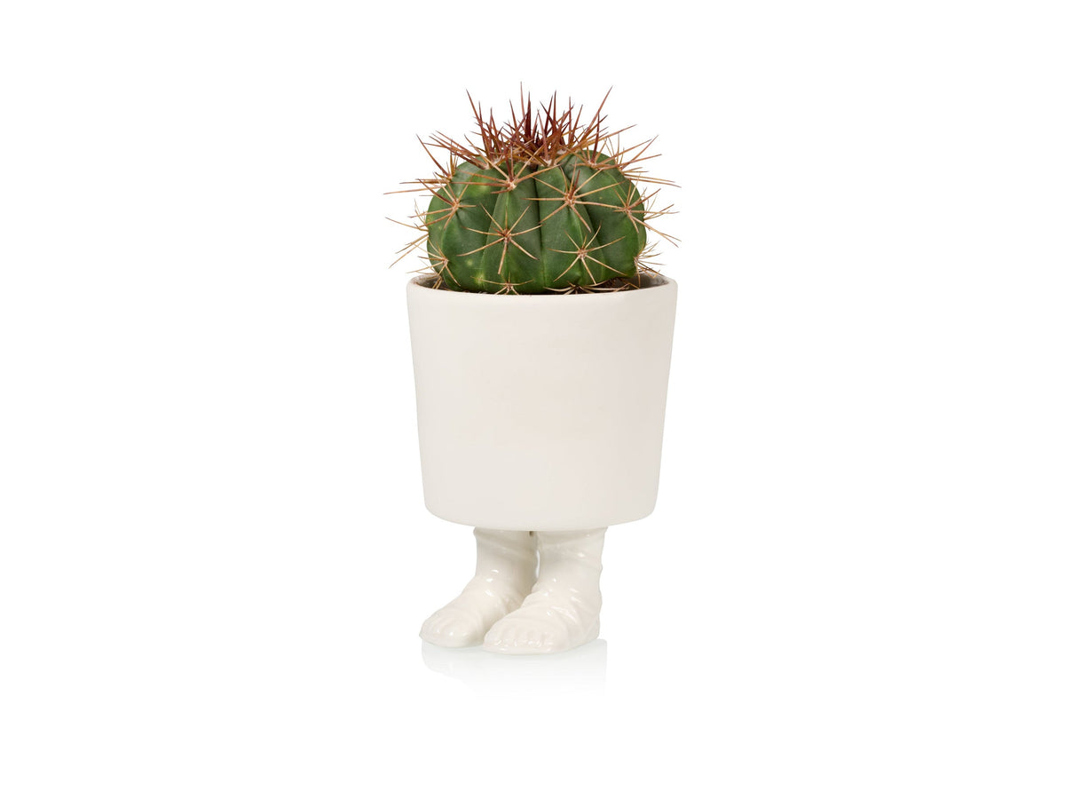 Pot de Fleur Sandale Gladiateur – Grand – Bitten