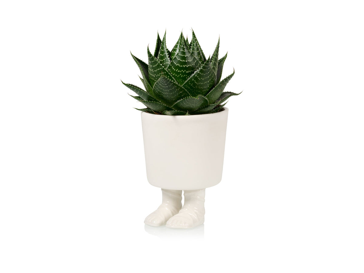 Pot de Fleur Sandale Gladiateur – Grand – Bitten