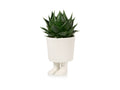 Pot de Fleur Sandale Gladiateur – Grand