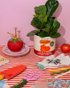 Vaporisateur de plantes, Tomate