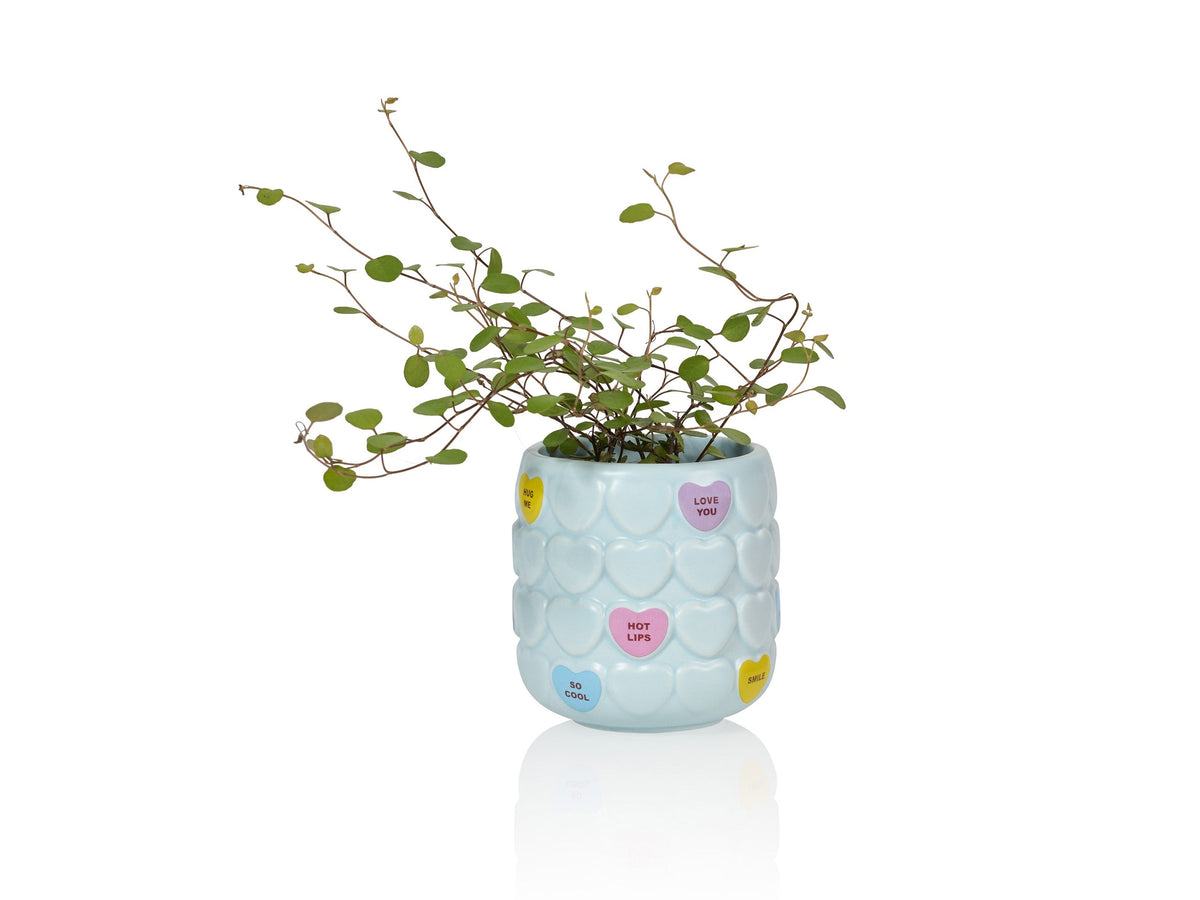 Mug Sweet Heart Bleu – Bitten