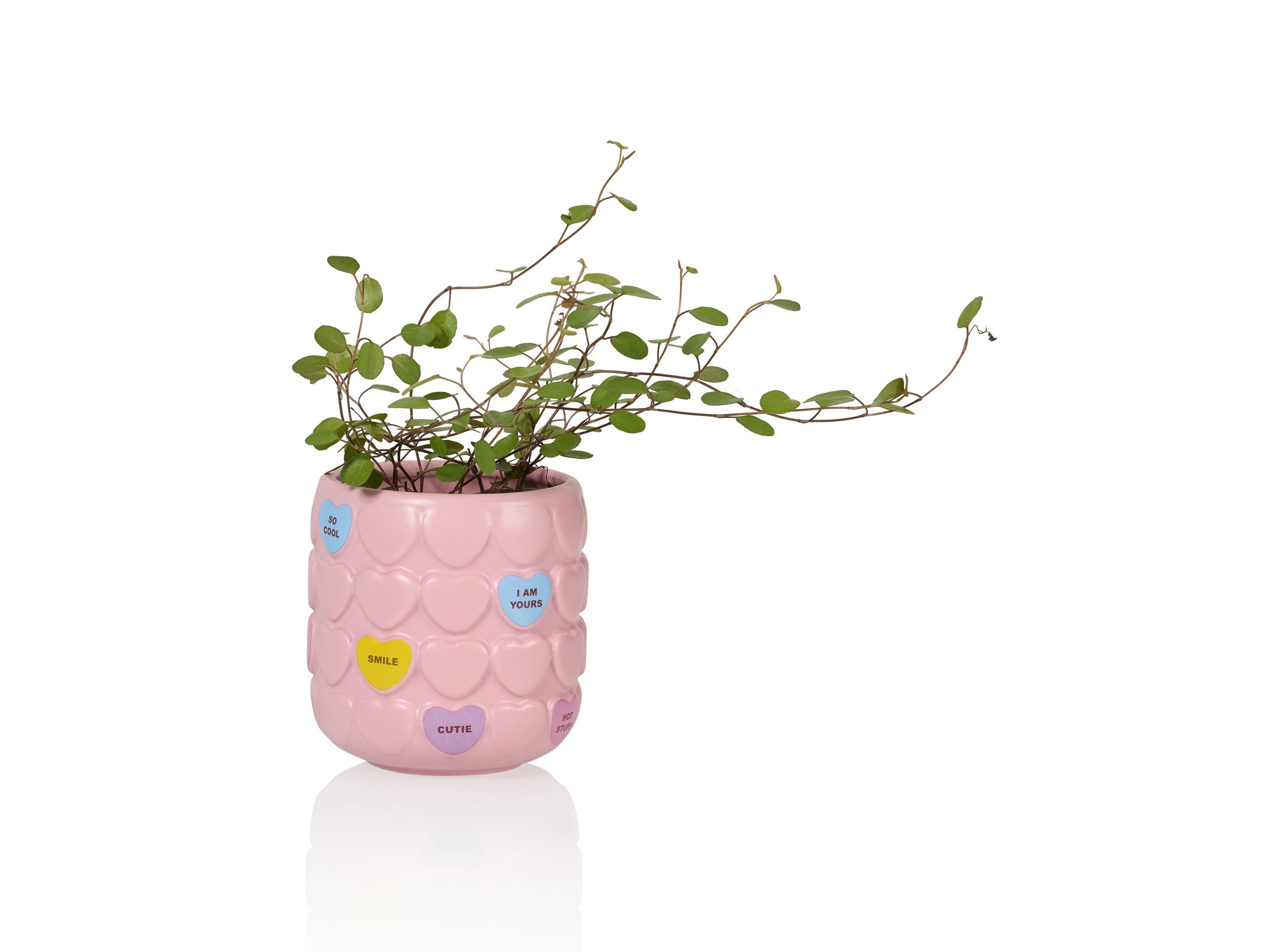 Sweet Heart Cup Rosa