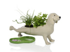 Peeing Dog Planter Bitten – Cache-pot original