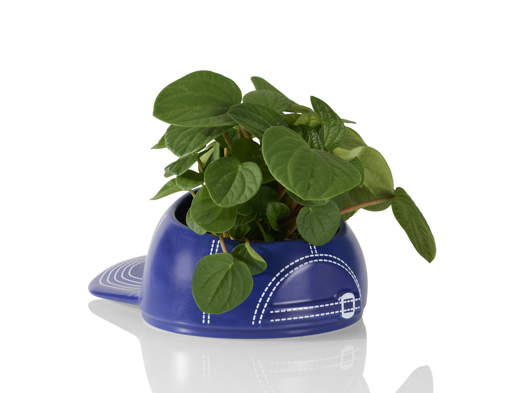 Bol Casquette de Baseball "BaseBowl Cap" Bitten – Bol décoratif original
