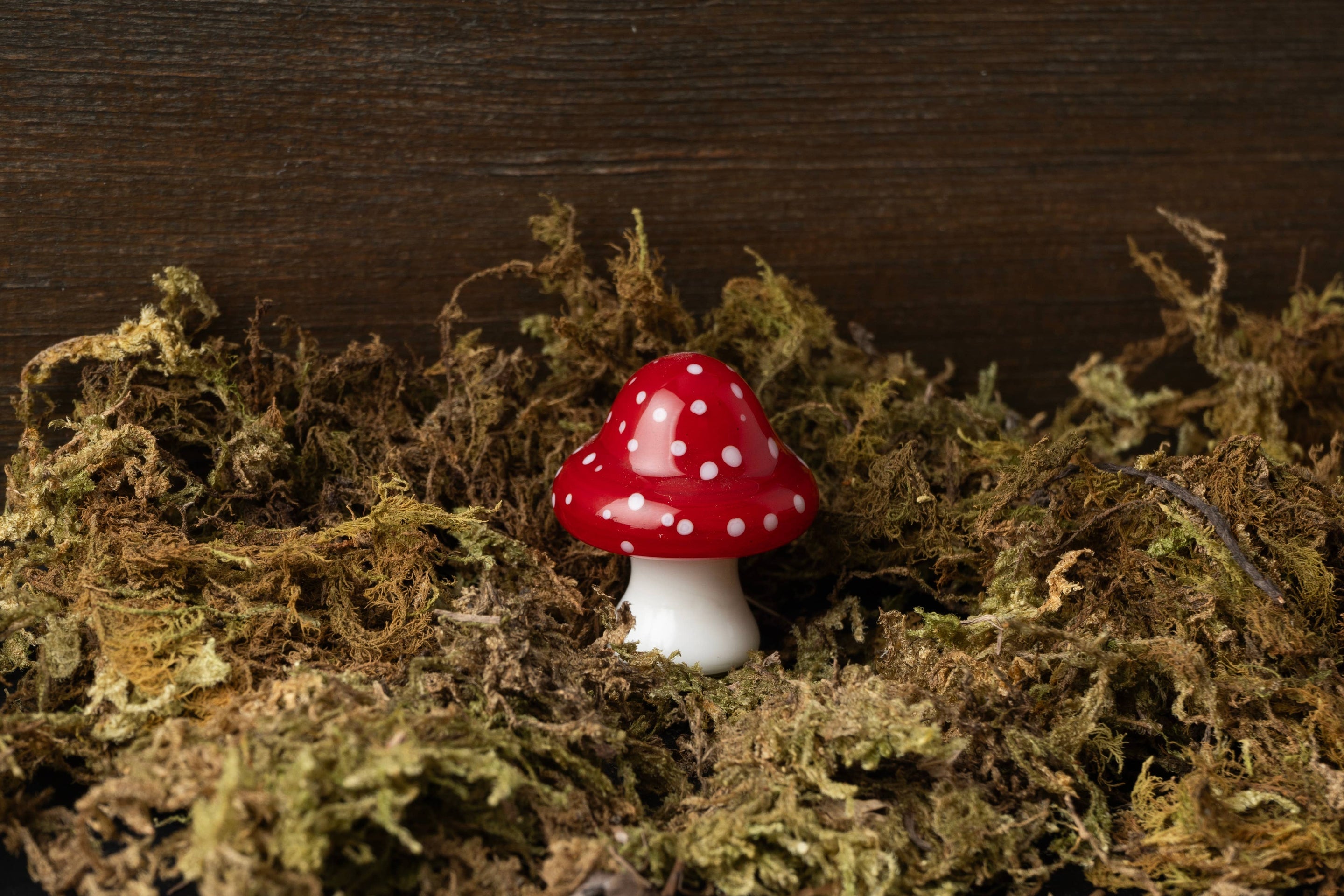 Décoration en verre Champignon