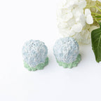 Sel et poivre Hortensia