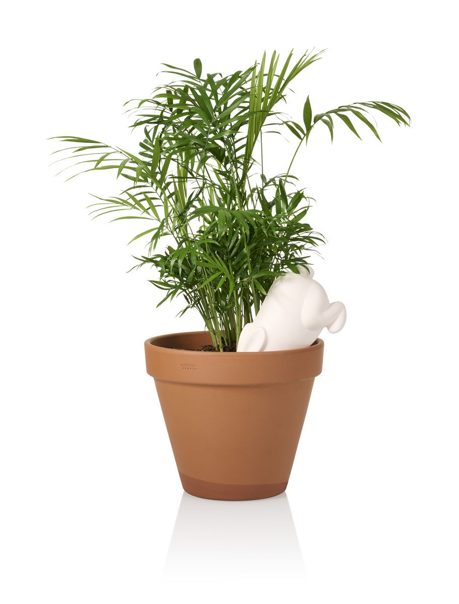 Designcadeau – arroseur autonome lapin bunny bitten