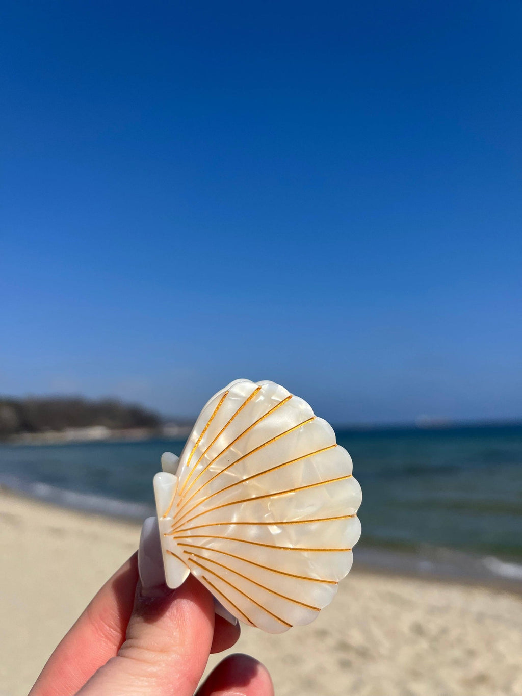 Pince à cheveux Coquillage violet pailleté | Designproducten en originele cadeaus