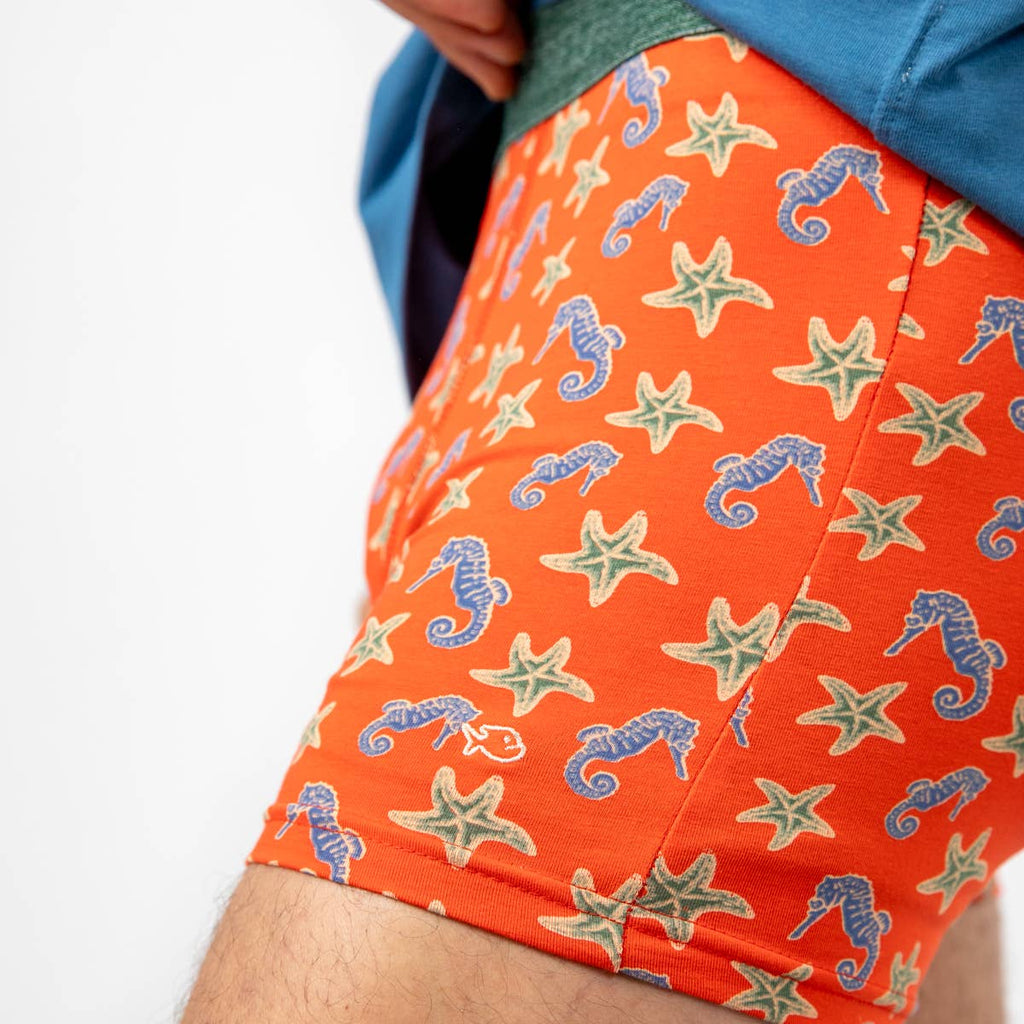 Boxer En Coton Biologique - Hippocampe