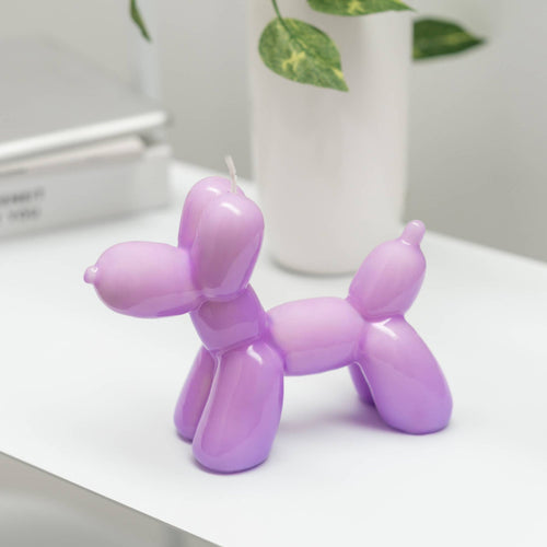 Chien Ballon Violet Bougie Helio Ferretti Vue 1