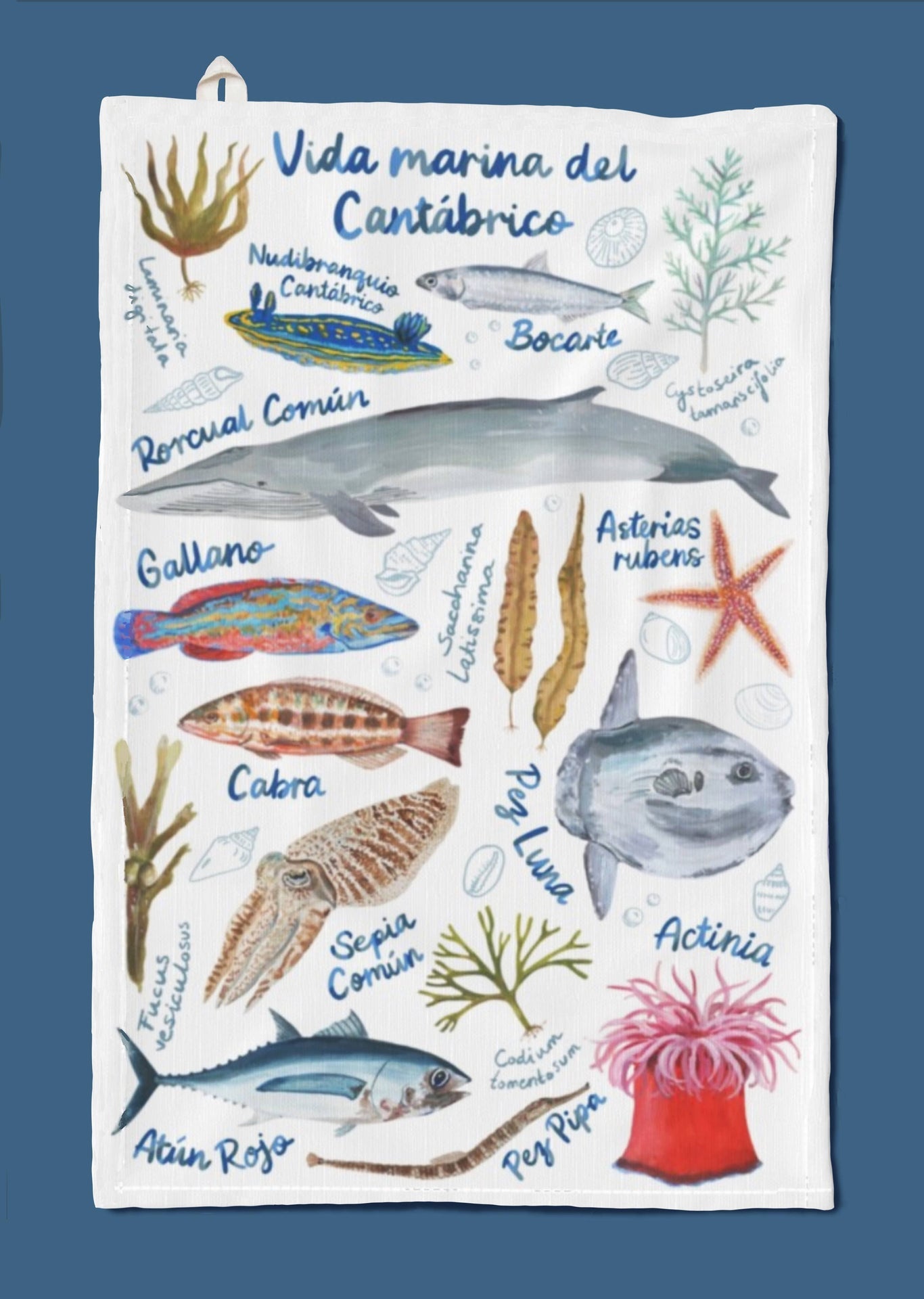 Torchon Vie marine de la mer Cantabrique