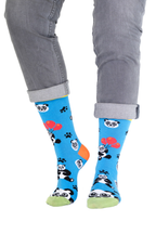 Panda Socks - Blue