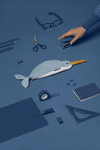 trousse narval don fisher 