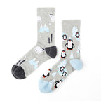 coffret chaussettes igloo urban eccentric 