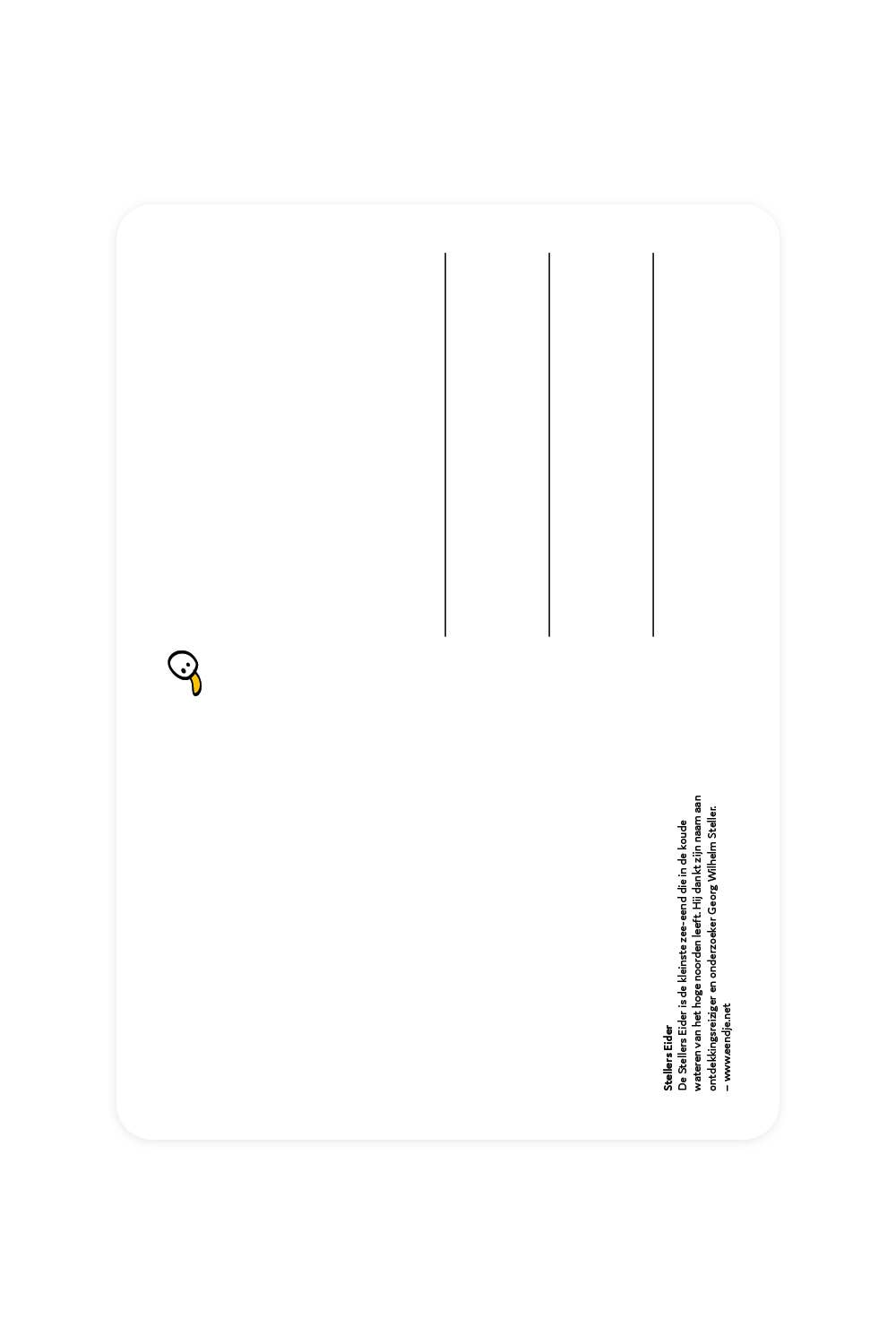 Carte postale avec Eider de Stellers | Oggetti di design e regali originali