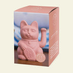 Fortunato gatto rosa
