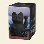 Fortunato gatto nero