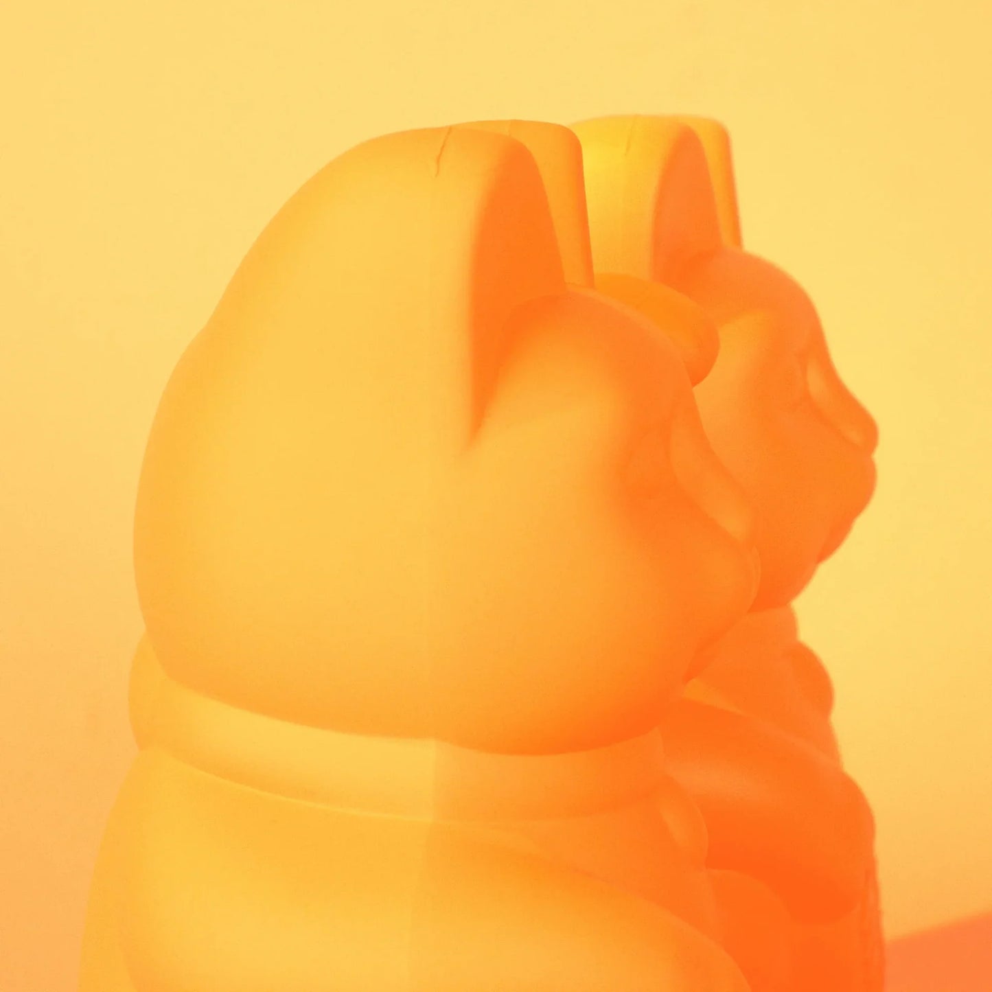 Chat Chanceux Pêche - le Chat Chanceux