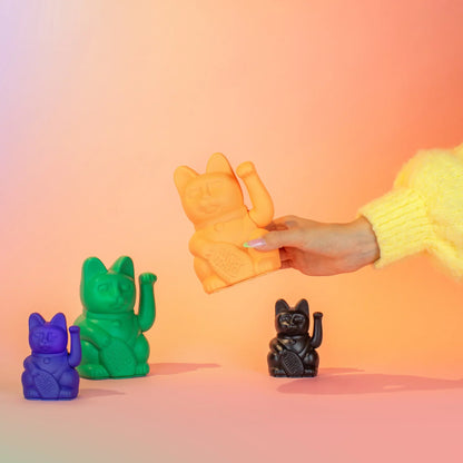 Chat Chanceux Pêche - le Chat Chanceux