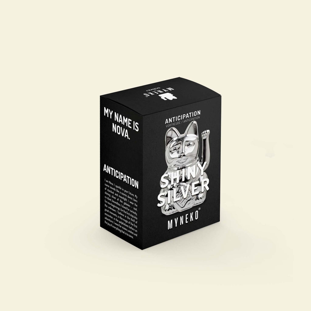 Glückskätzchen glänzend Silber „Nova“