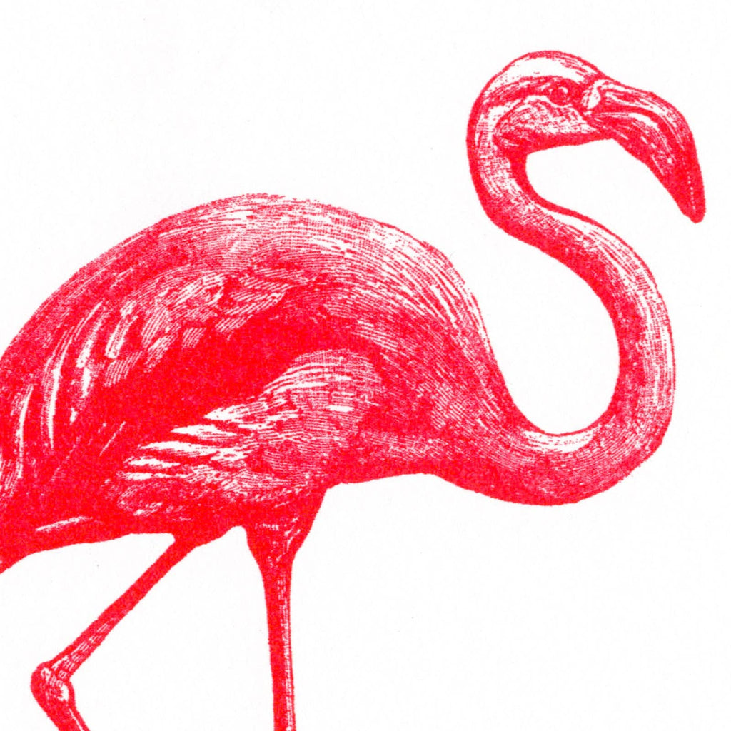 Carte postale Flamant Rose | Oggetti di design e regali originali
